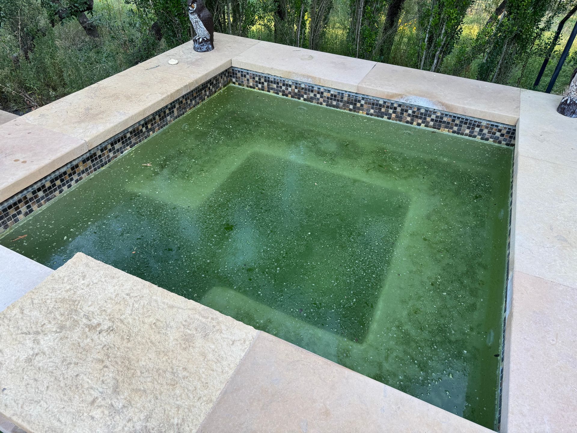 Renovation/Spa upgrade, extended decking, added beach access, Tile, Plaster and Coping
