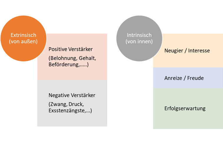 extrinsische vs intrinsische Motivation