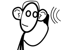 combat hearing loss