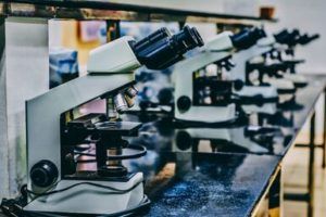 gene editing tool