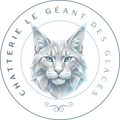 logo le geant des glaces maine coon