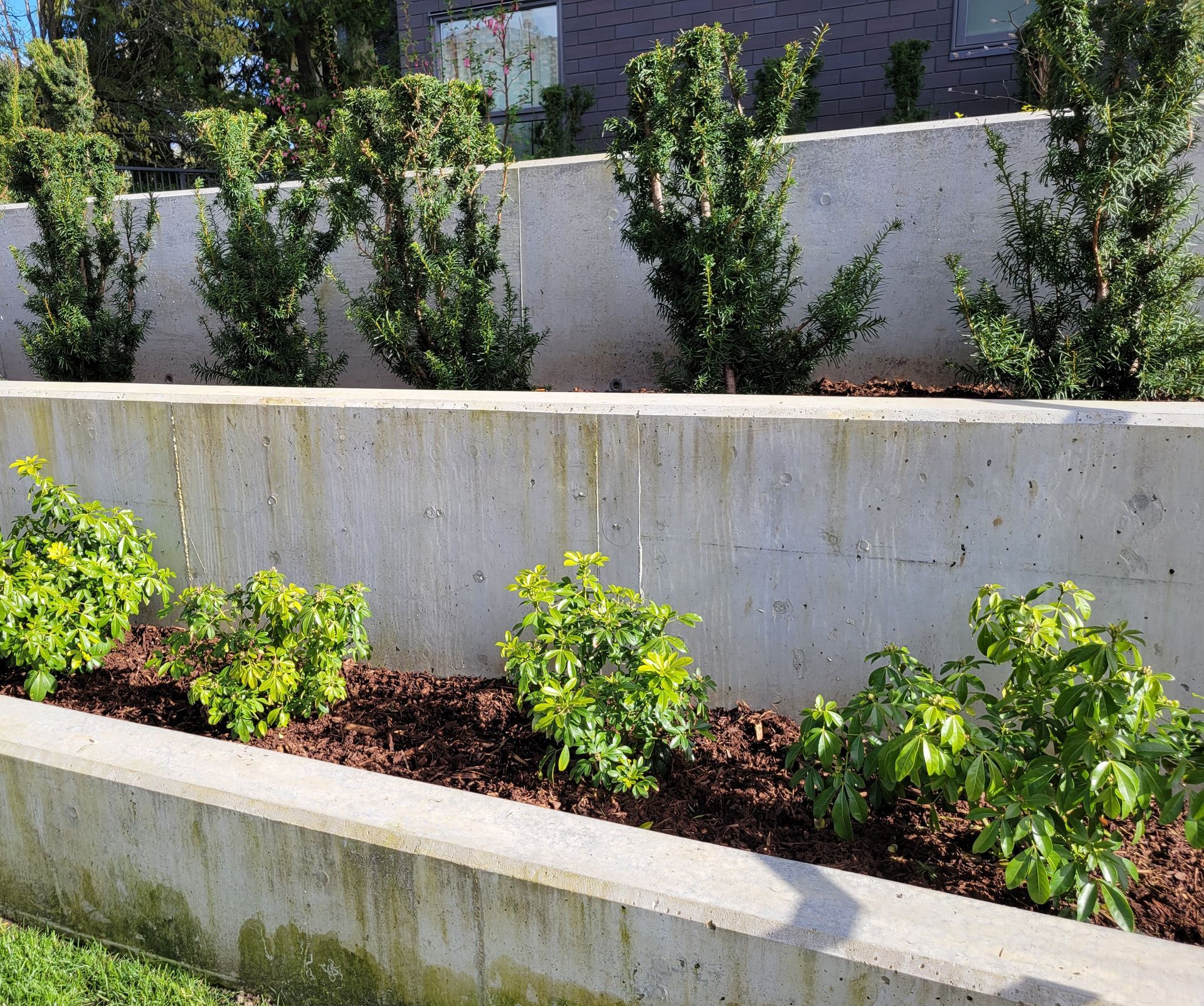 Ottawa Retaining Walls - poured concrete retaining wall