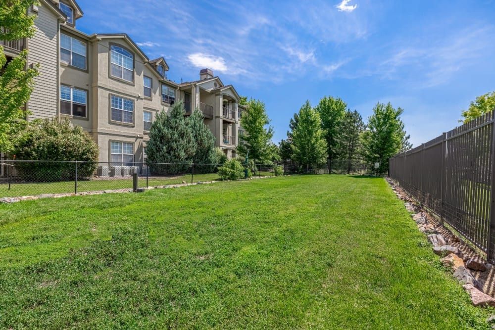Bark park with a large lush green lawn at Marquis at Town Centre in Broomfield, CO.