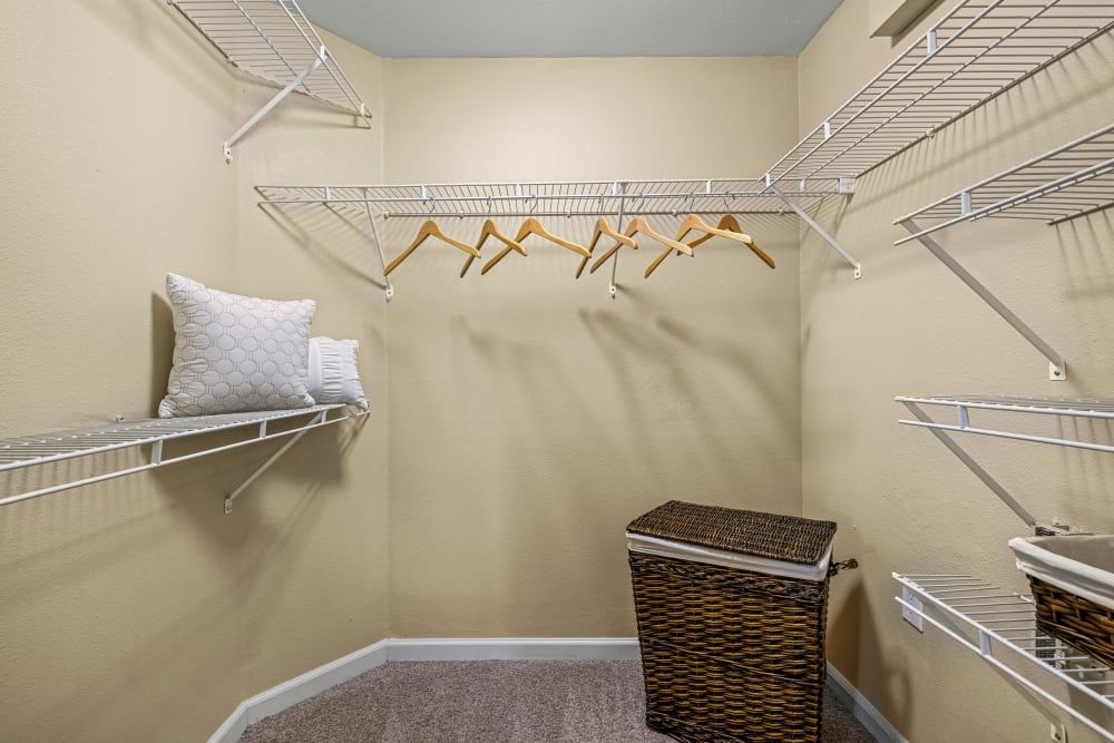 A walk-in closet with lots of shelves and a laundry basket at Marquis at Town Centre in Broomfield, CO.