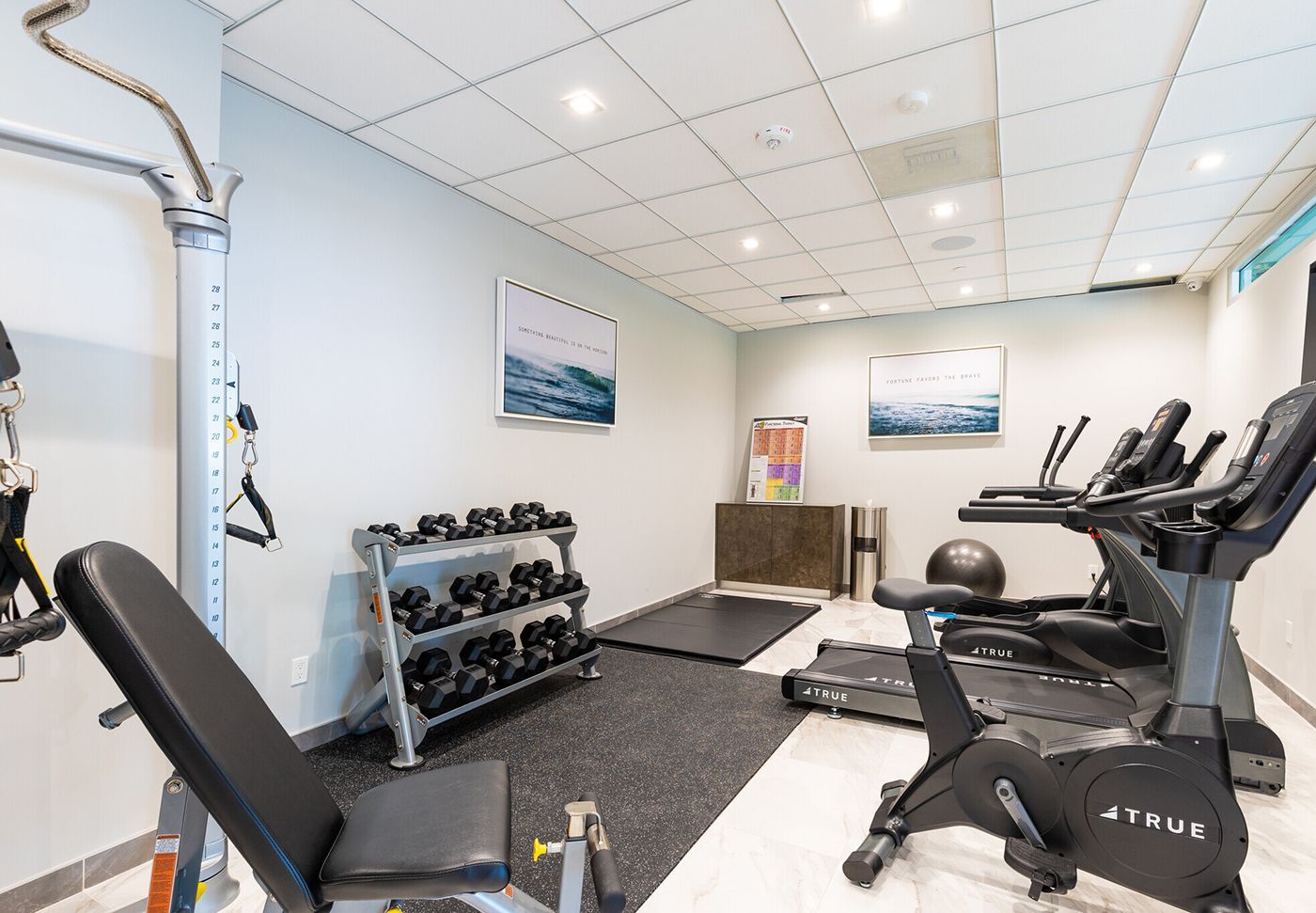 Gym with weights, exercise machines, and workout bench. Gray walls, white ceiling, and a dark floor.