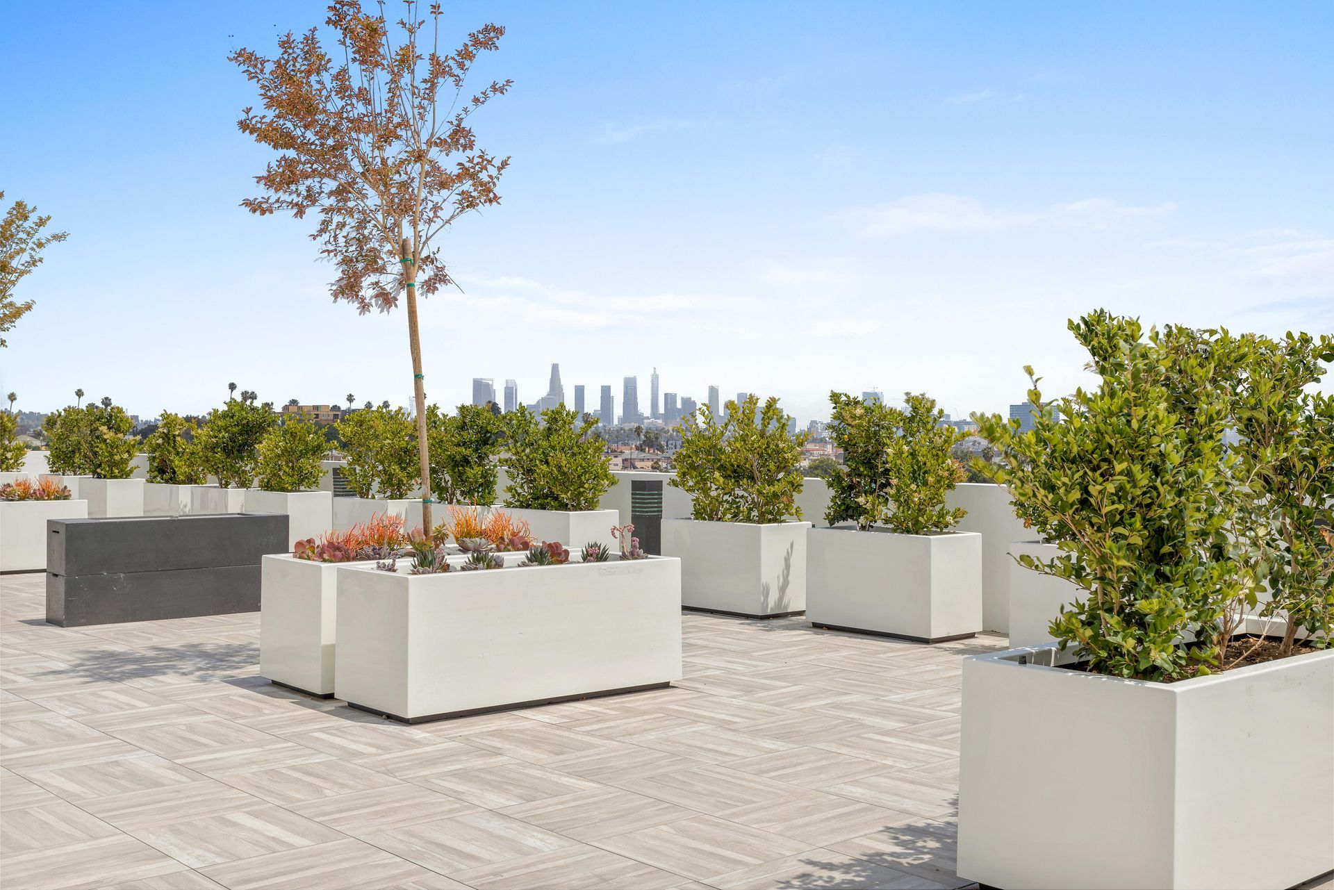 Rooftop garden with rectangular white planters, trees, and cityscape backdrop under a blue sky.