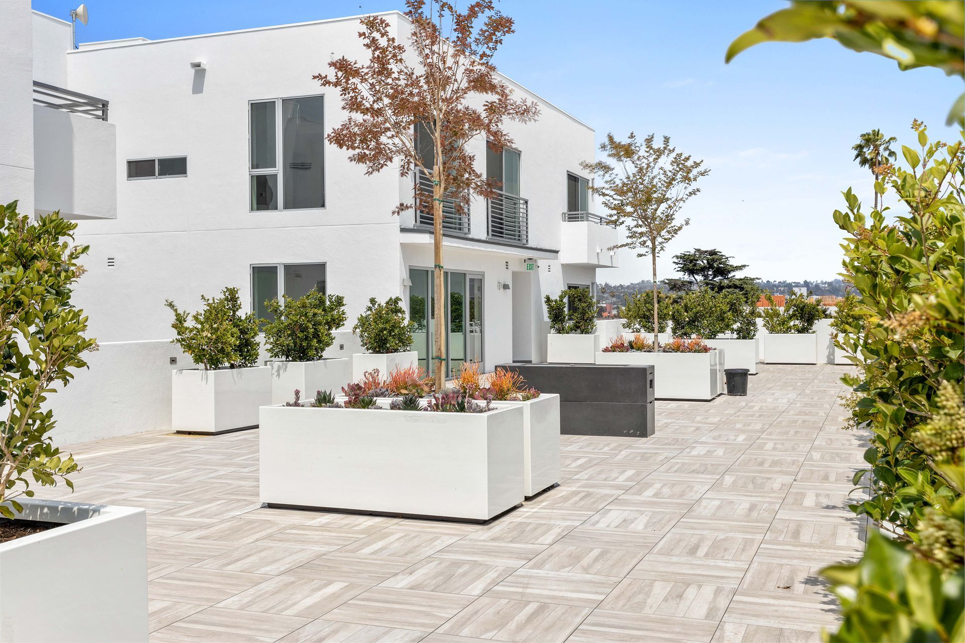 Rooftop patio with white planters, trees, and a white building under a blue sky.