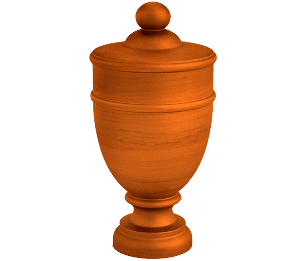 PREMIER FUNERALES - EXPERTOS EN FUNERALES