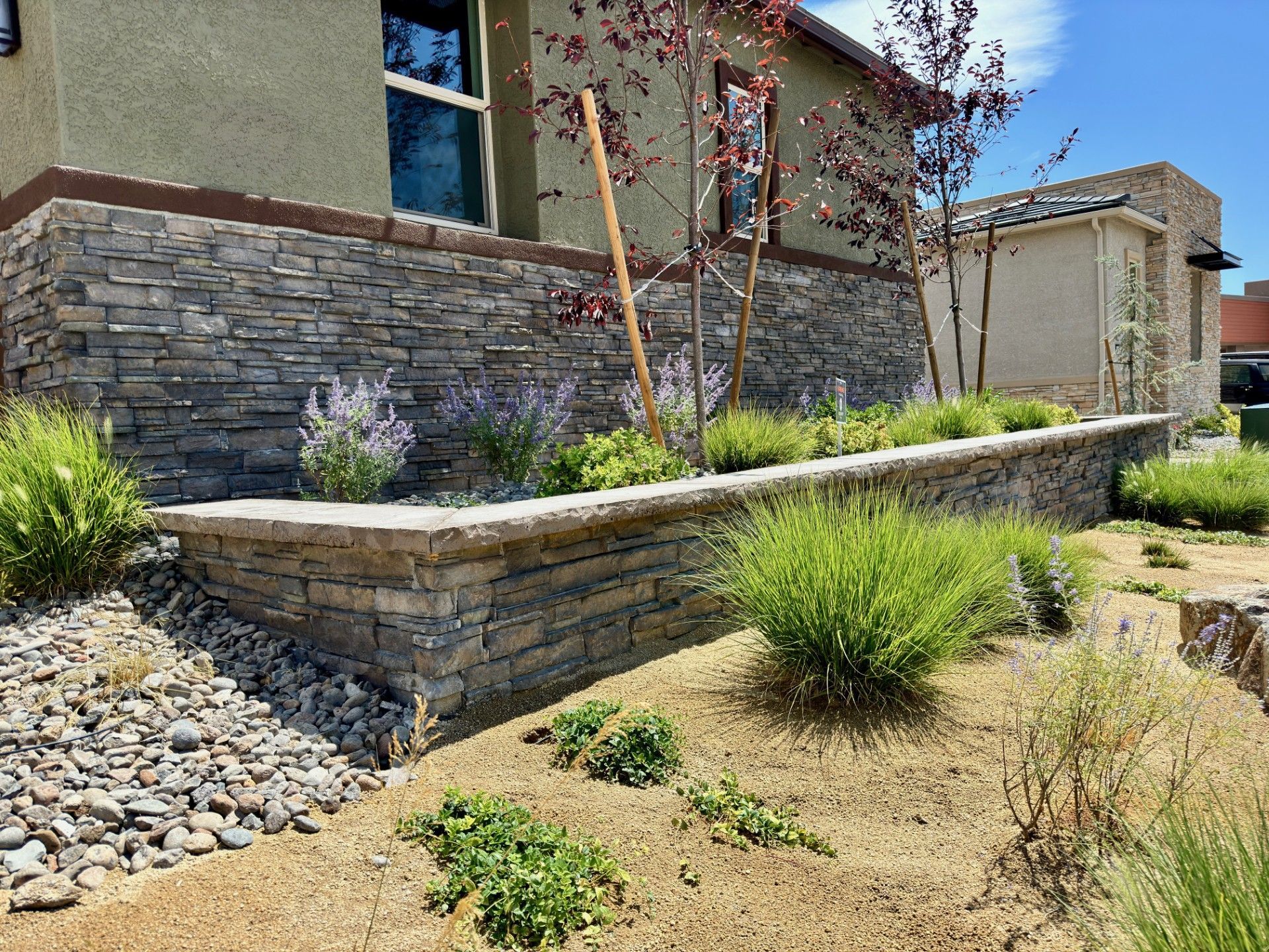 Stone retaining wall and drought-tolerant landscaping beside a modern building under a blue sky