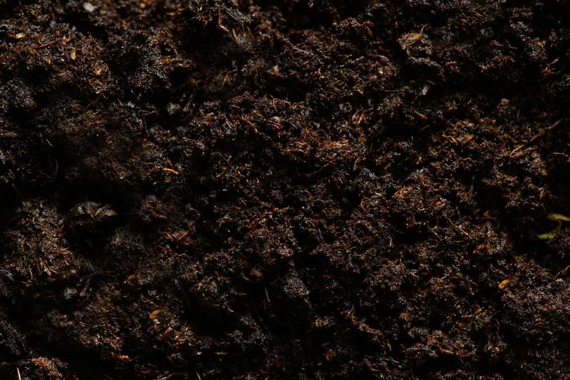 compost