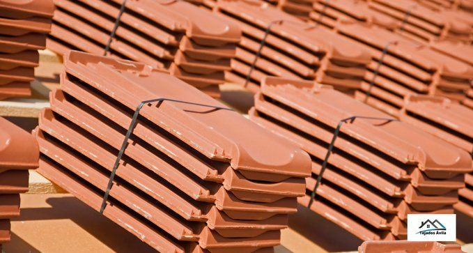 Tejados de Teja en Navaluenga, Ávila