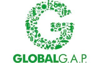 View Global GAP A logo for globalg.a.p. with a green letter g