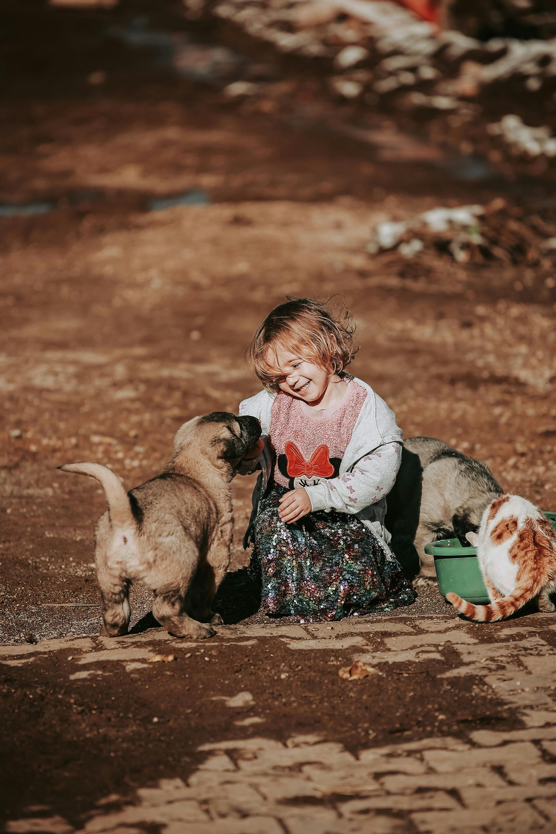 Child sitting on a dirt path beside two goats and a green bucket, with a small red-and-white bundle