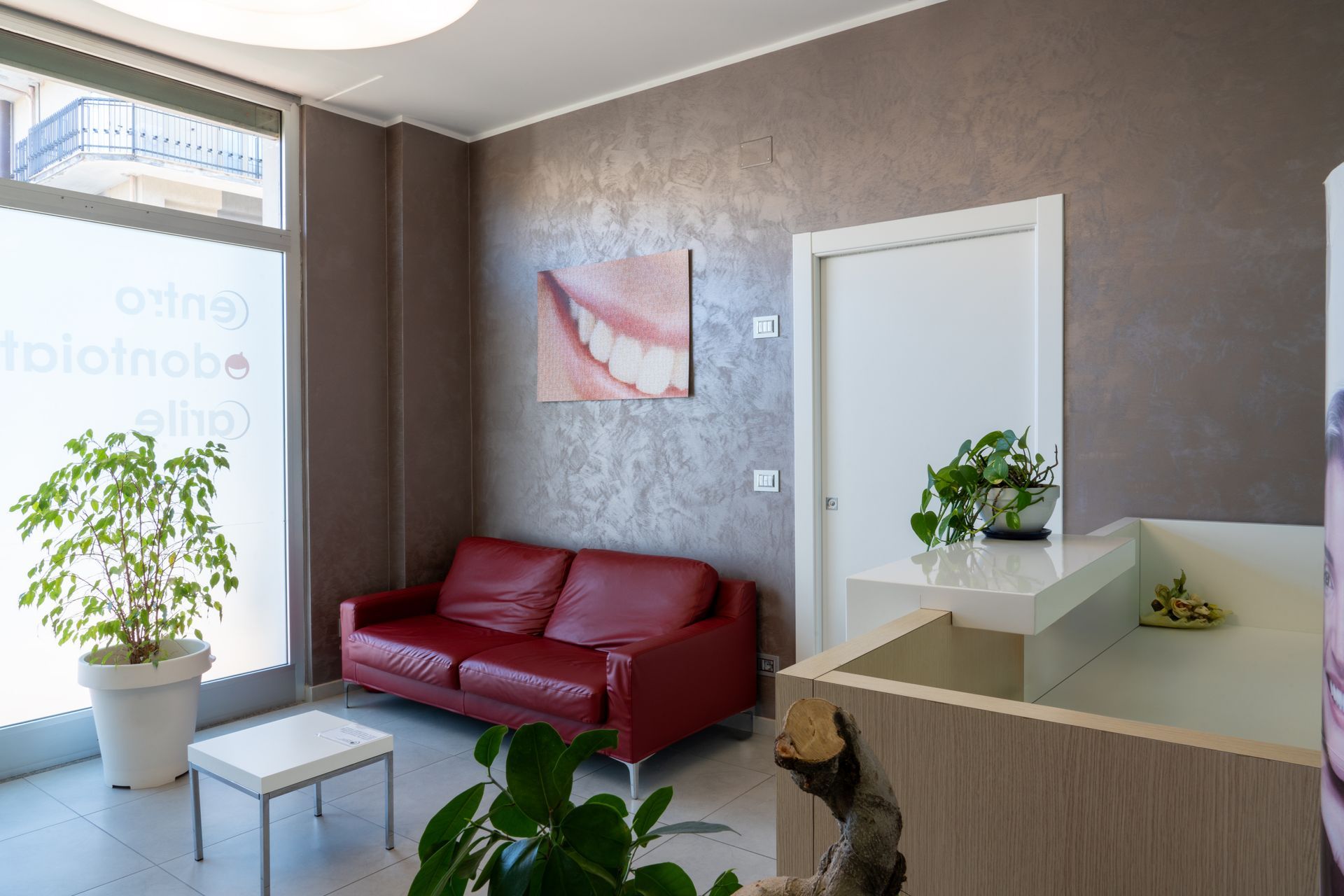 studio carile