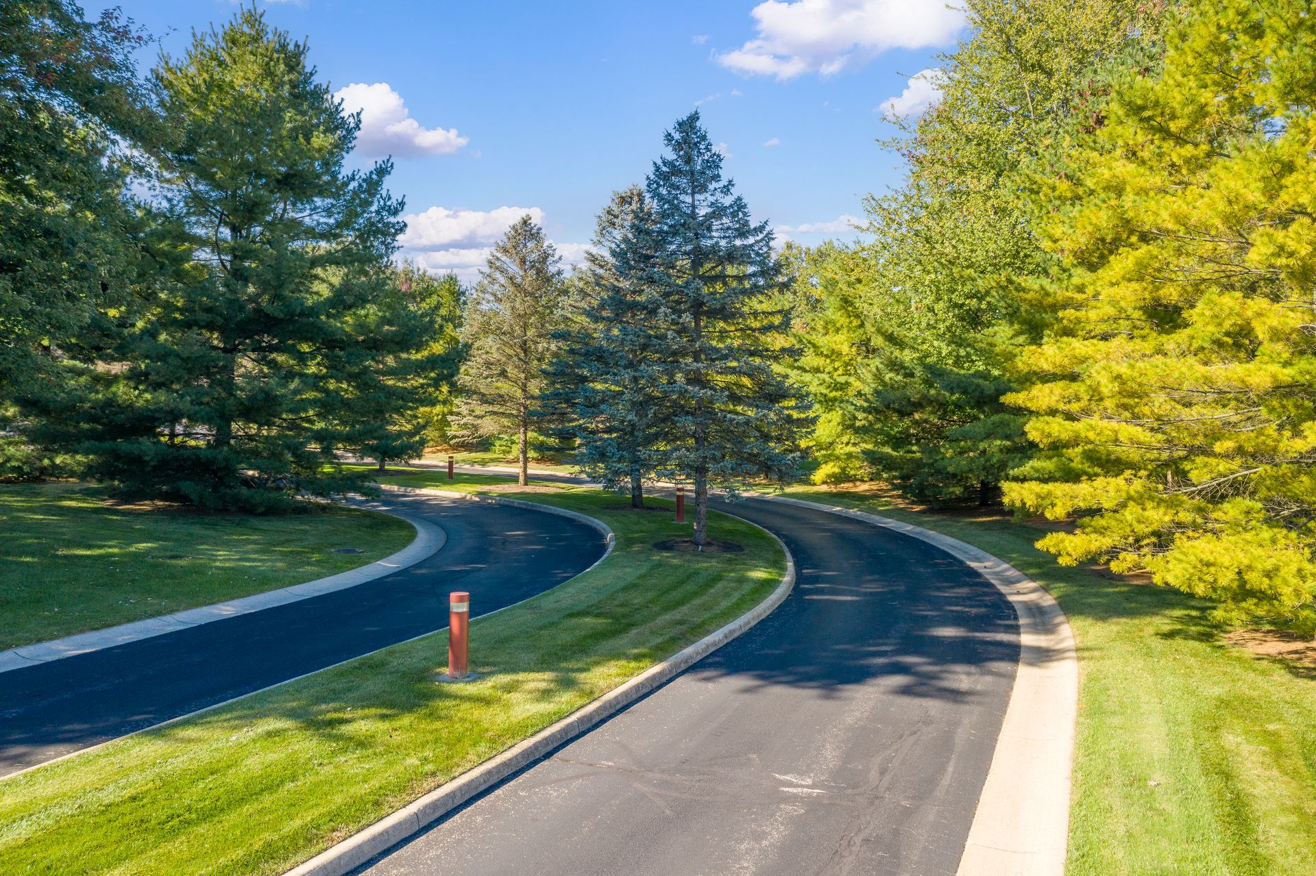 Curving black asphalt driveway lined with green grass and trees on a sunny day.