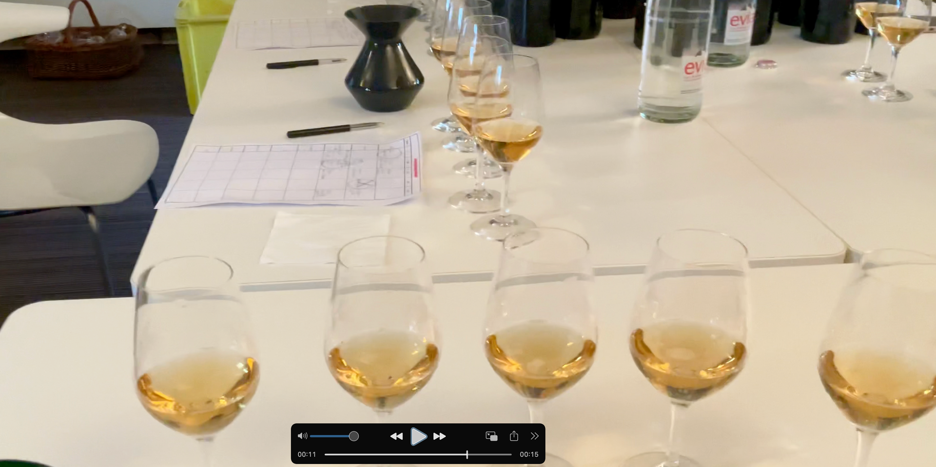 Anselme and Guillaume Selosse, Domaine Jacques Selosse, Avize, Champagne, Dosage-Tasting
