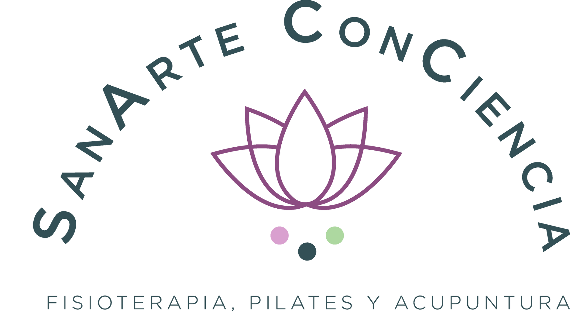 Sanarte Conciencia logo