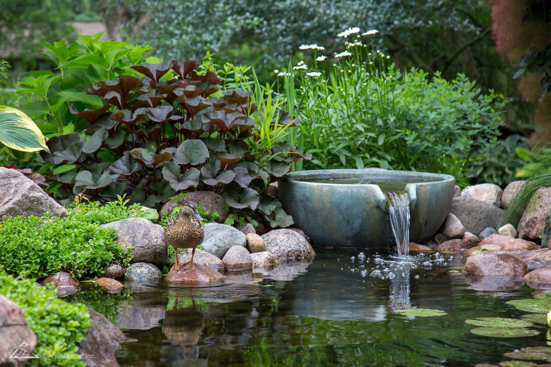 Water fountain in a lush garden with dark red plants, rocks, and a small bird.