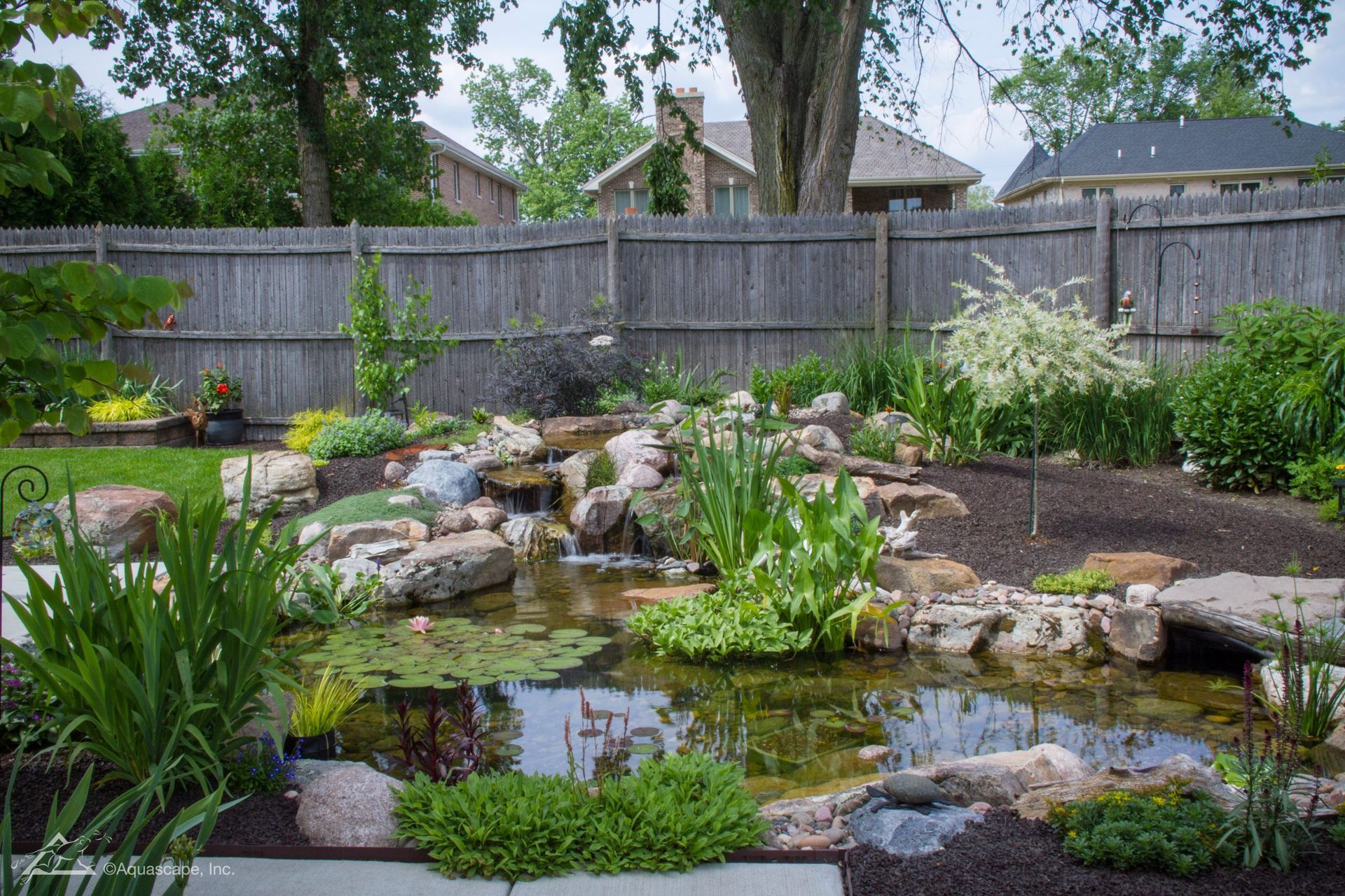 Backyard pond with waterfall, surrounded by rocks and lush green plants. Wooden fence in background.