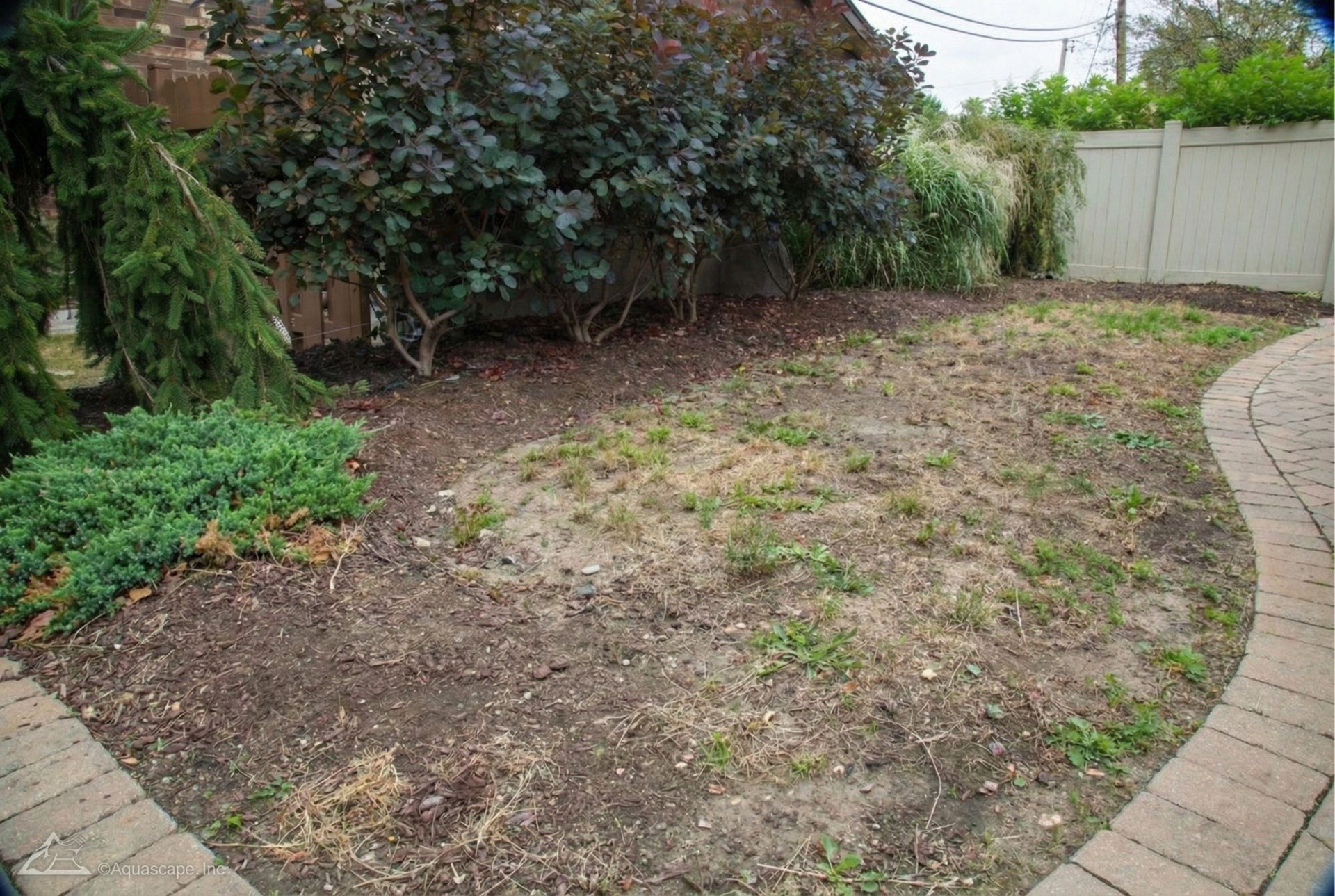 before pond