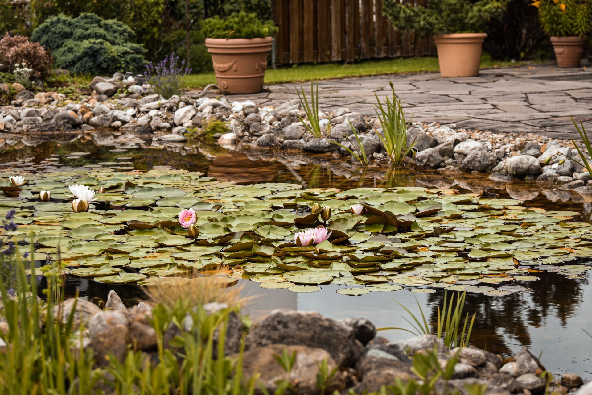 Natural Ponds