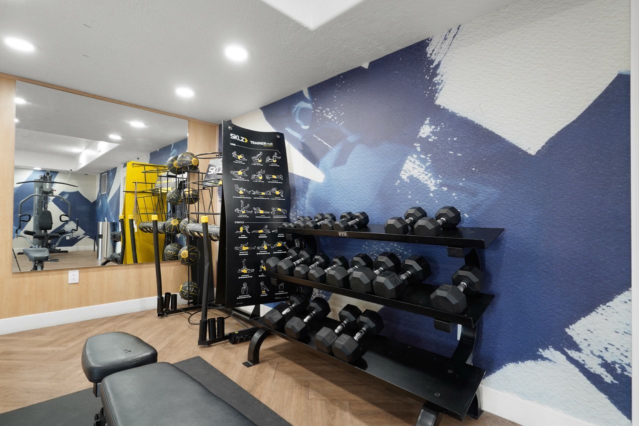 Hills at Renaissance Gym area in a residential amenity space with dumbbell rack, weights, and a mirror.