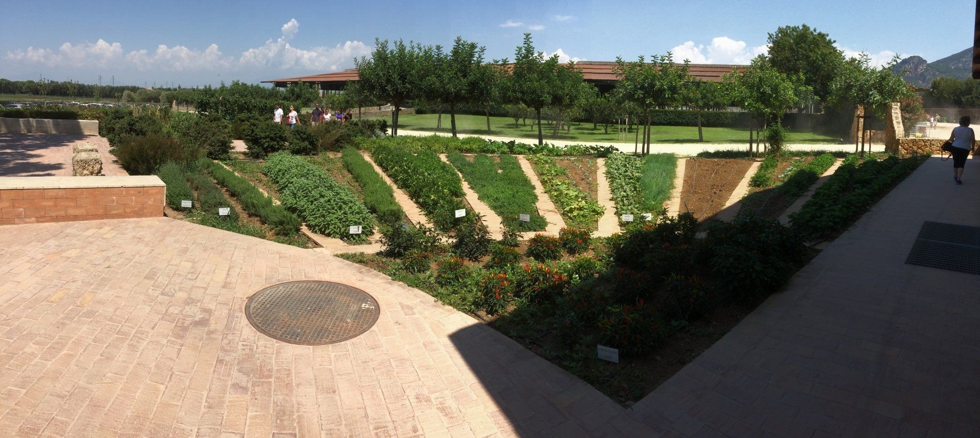 aree giardini