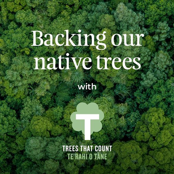 Forest canopy background with text “Backing our native trees” and Trees That Count logo.