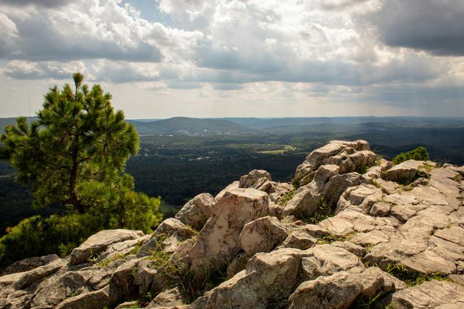 Rocky overlook with a lone pine tree and wide valley under cloudy skies