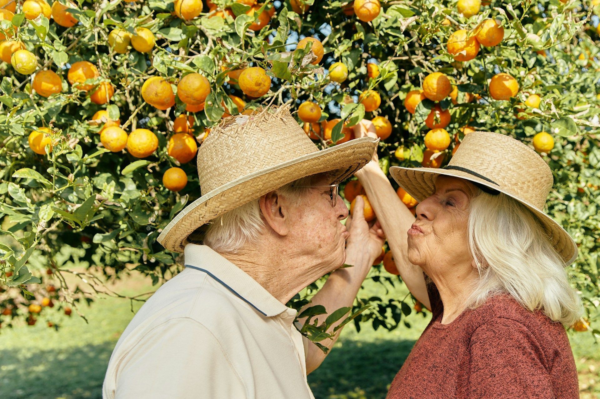 Two people in straw hats touch foreheads under an orange tree, smiling in a sunny orchard