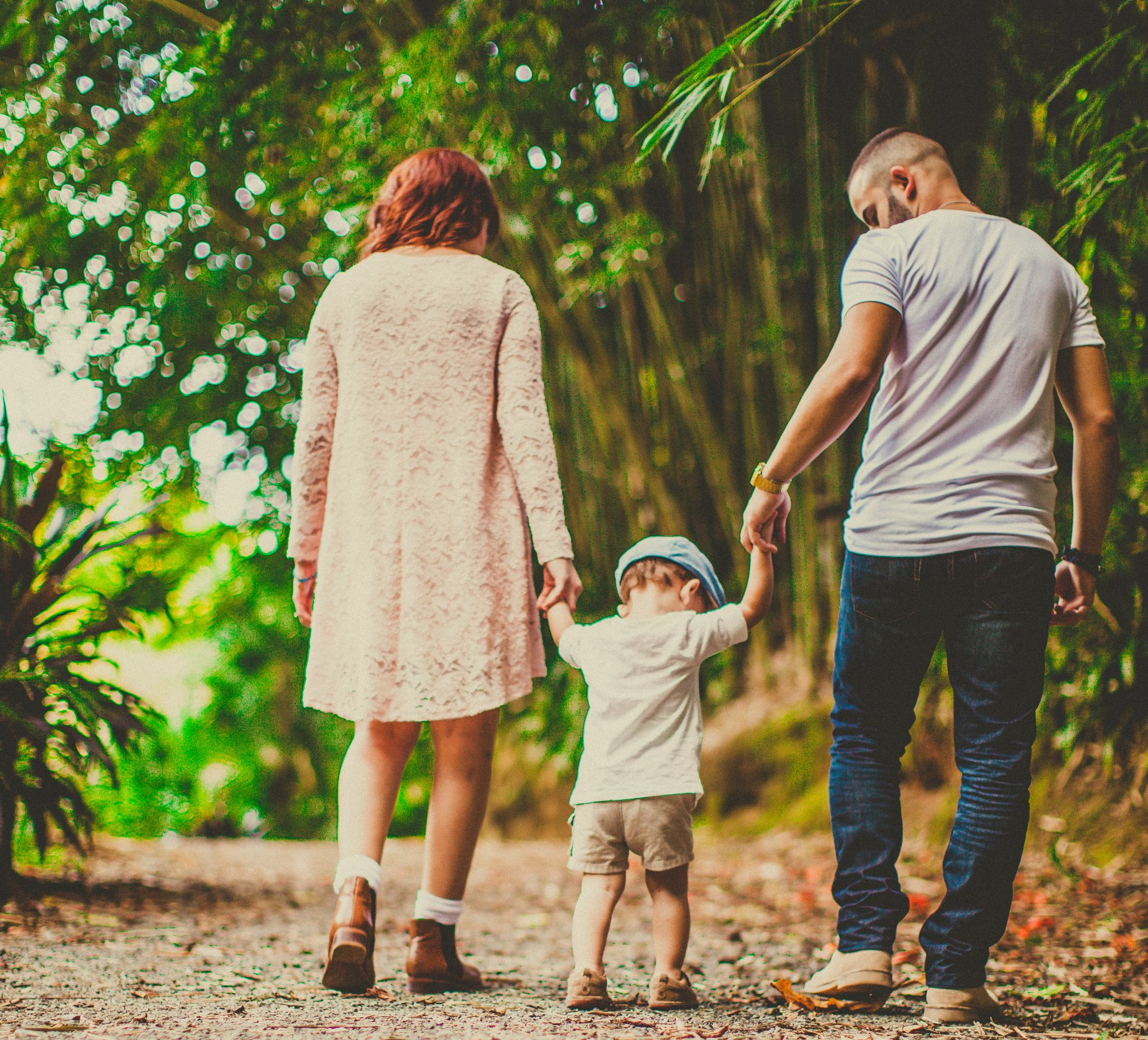 Family walking hand-in-hand on a leafy forest path
