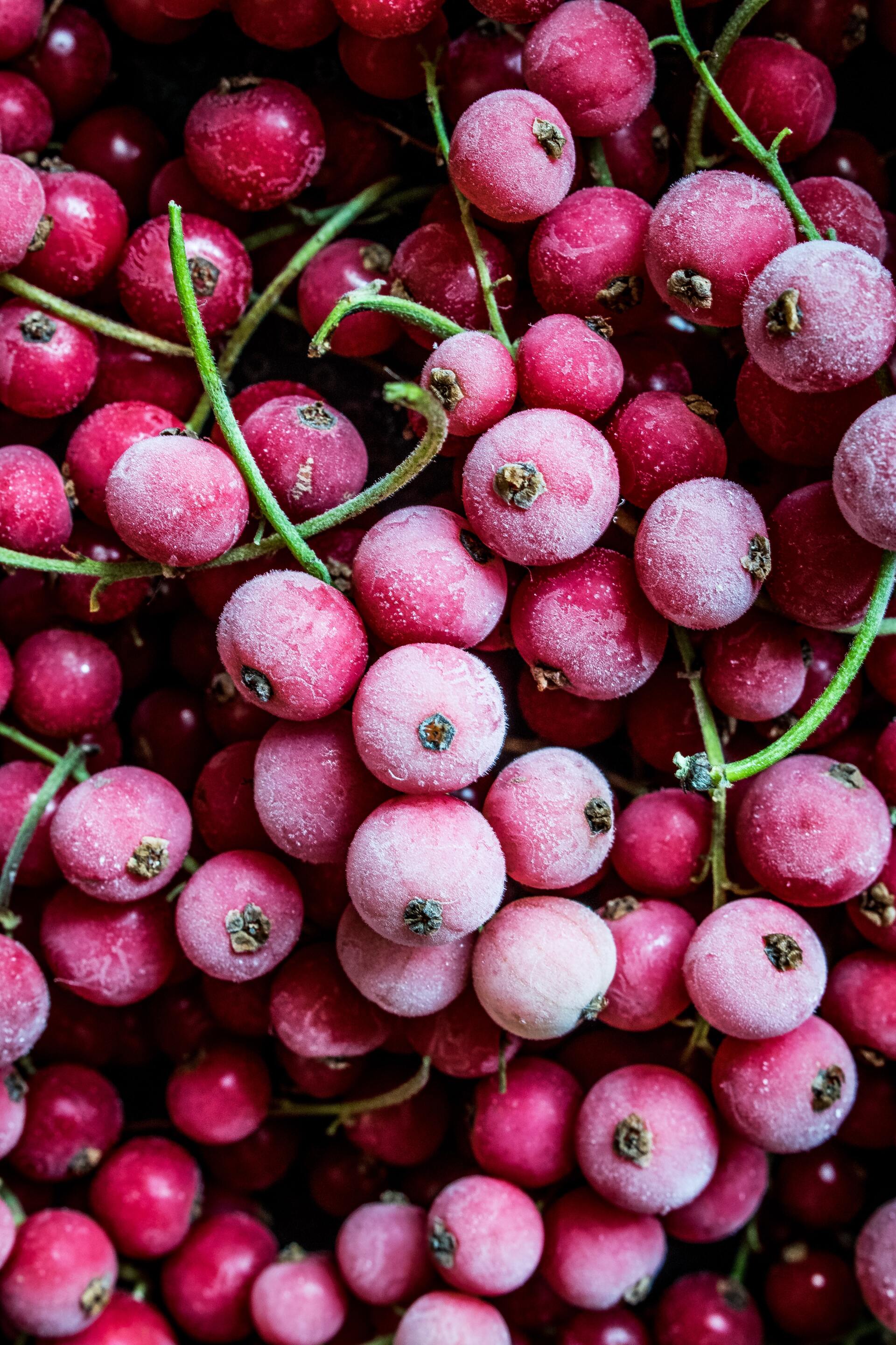 almacenamiento de frutas almacenamiento de frutas