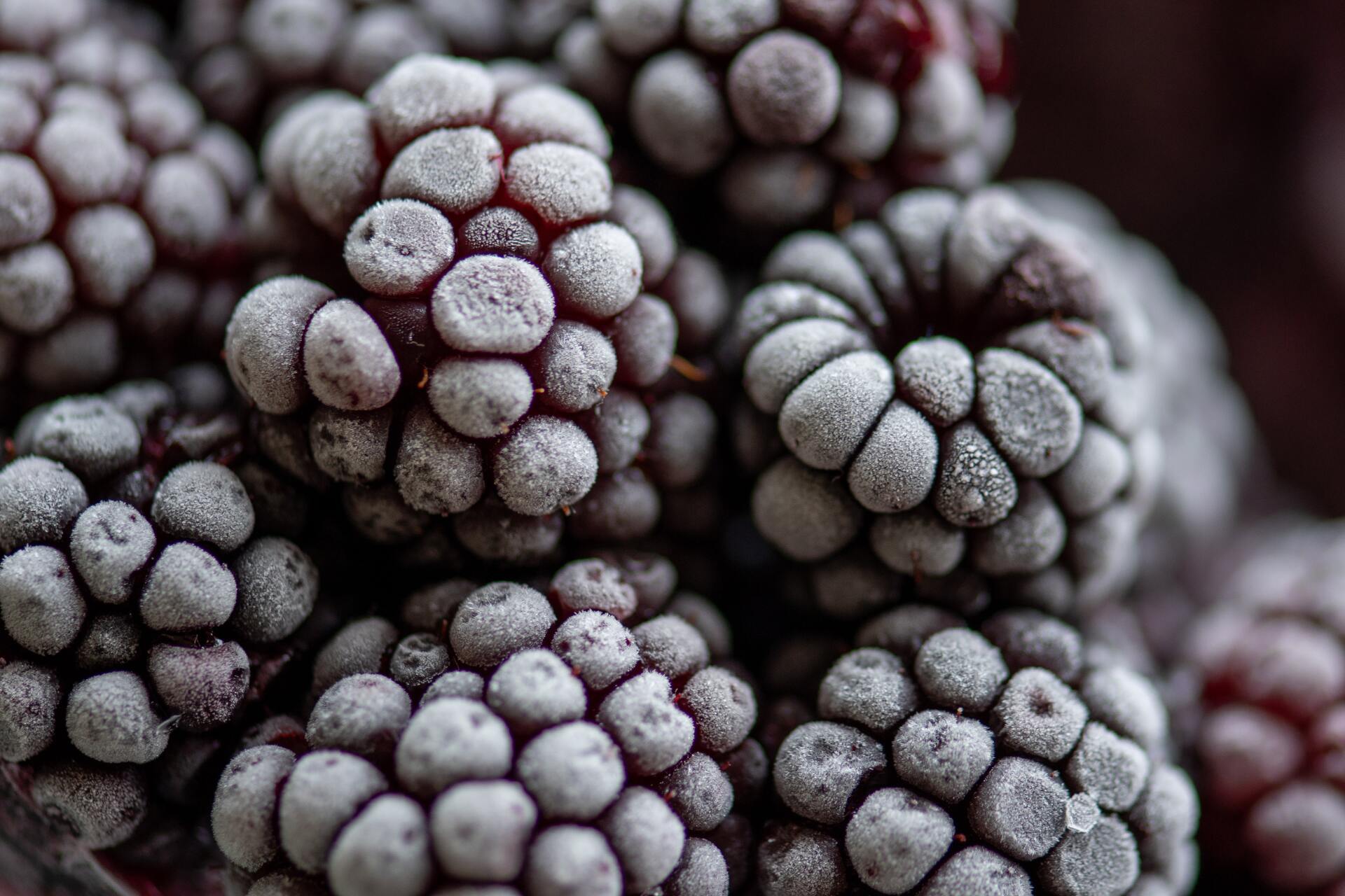 cambio de color en las frutas cambio de color en las frutas