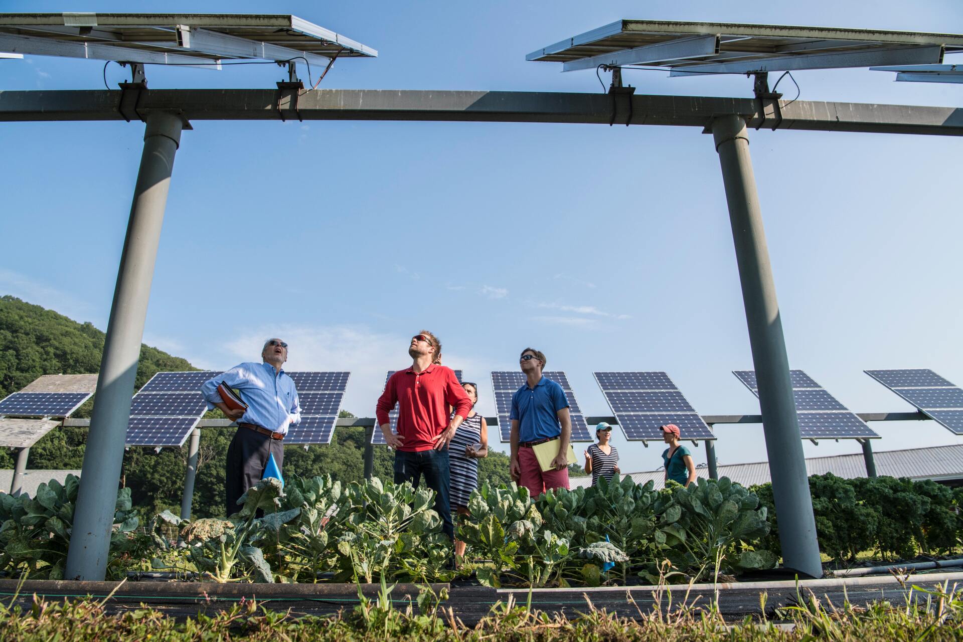 plantas solares en la industria de alimentos plantas solares en la industria de alimentos