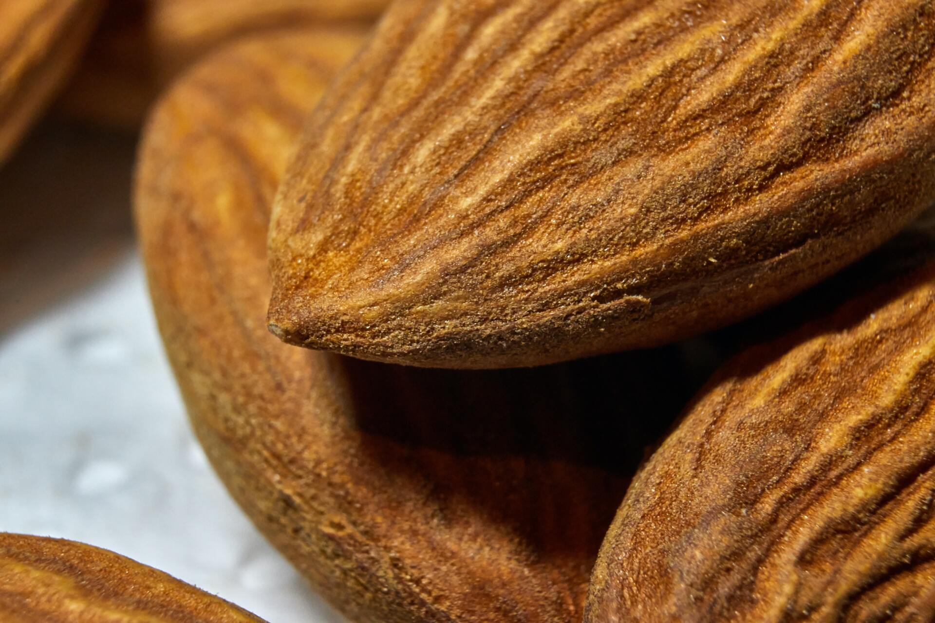 inmunidad en los alimentos inmunidad en los alimentos