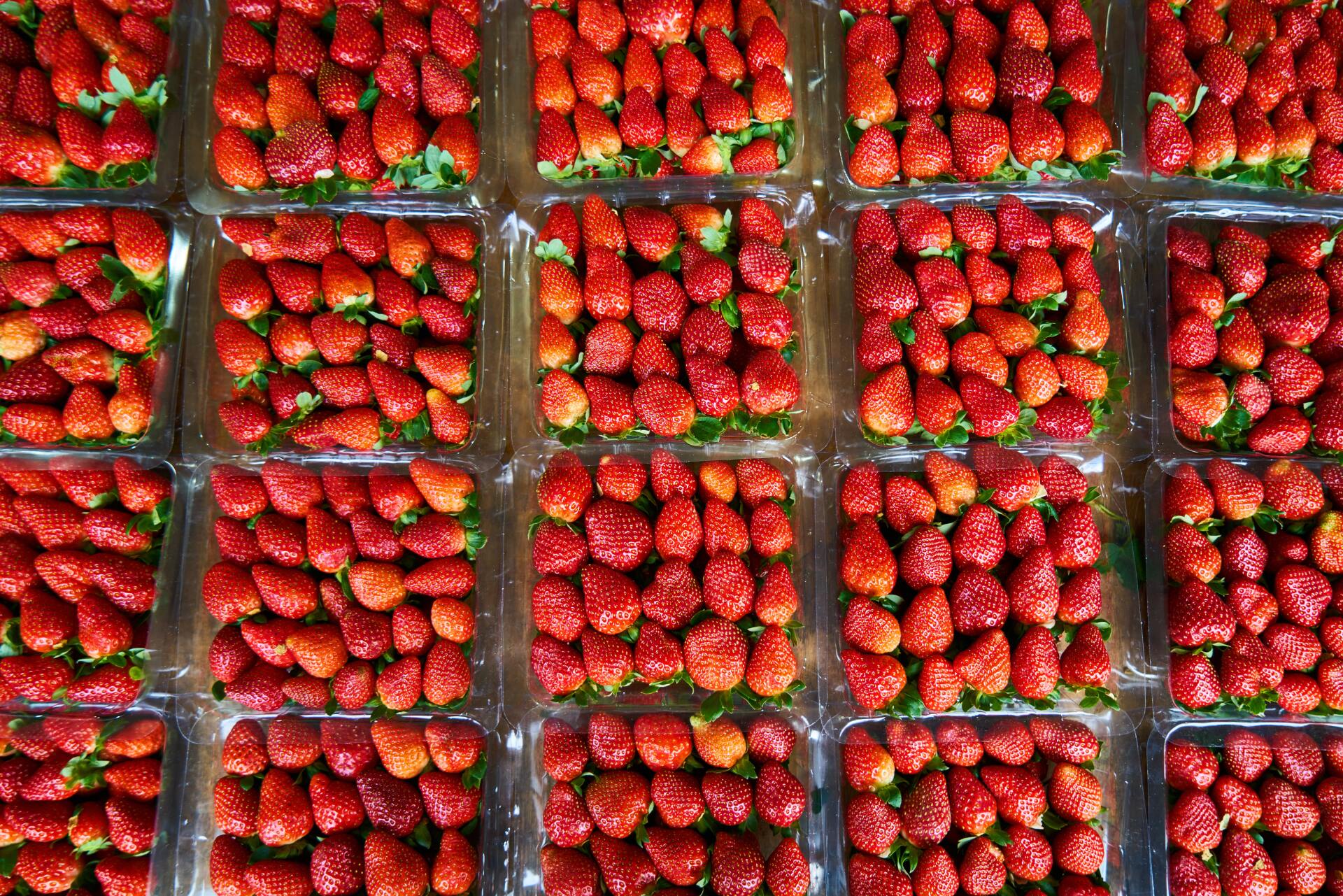 comida natural gracias a la ciencia comida natural gracias a la ciencia