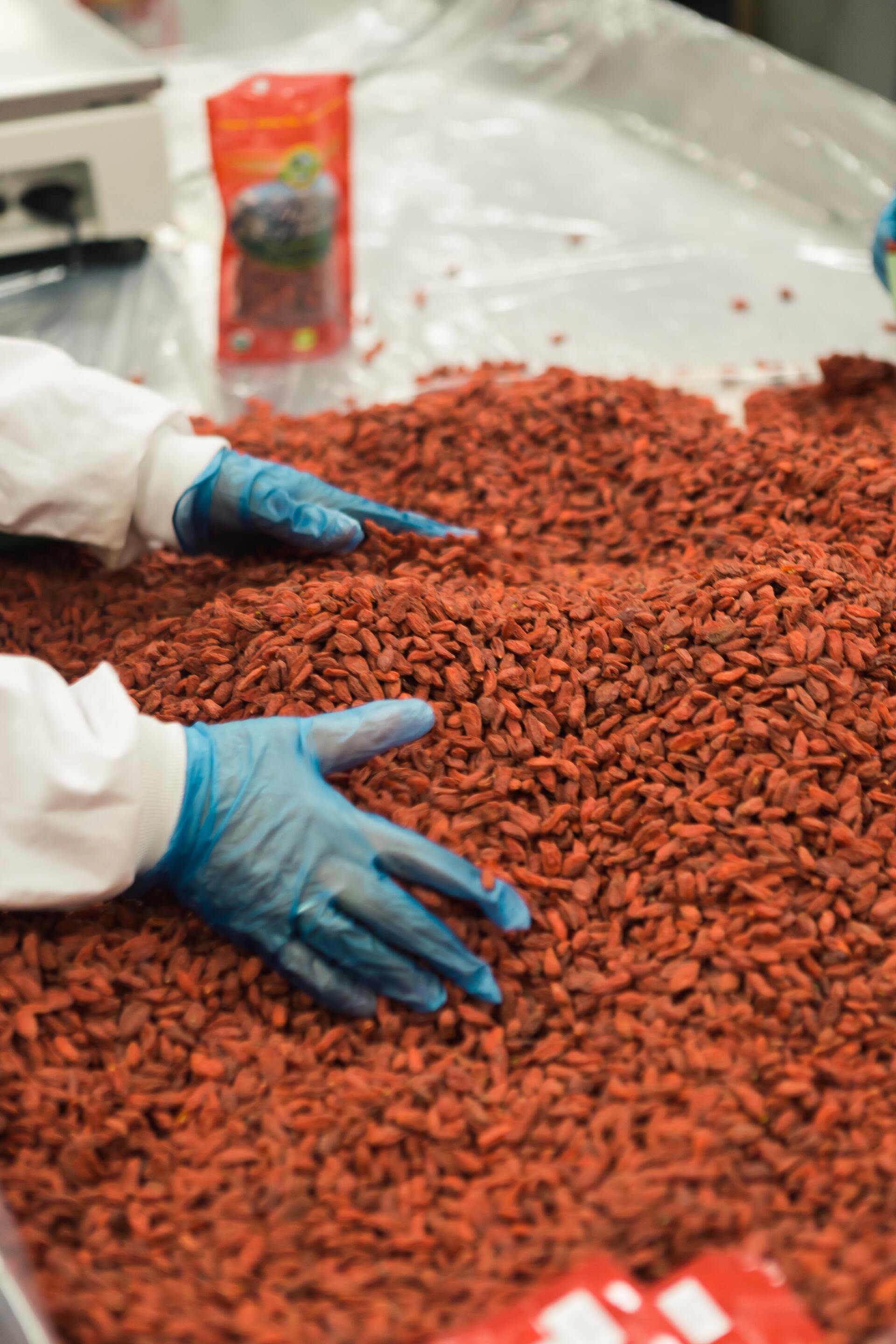 conocimiento y experiencia en la industria de alimentos conocimiento y experiencia en la industria de alimentos