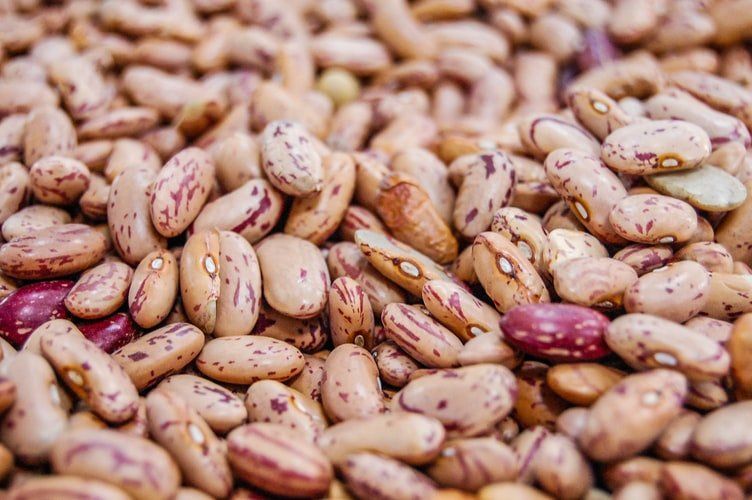 bebidas en negocio de alimentos bebidas en negocio de alimentos