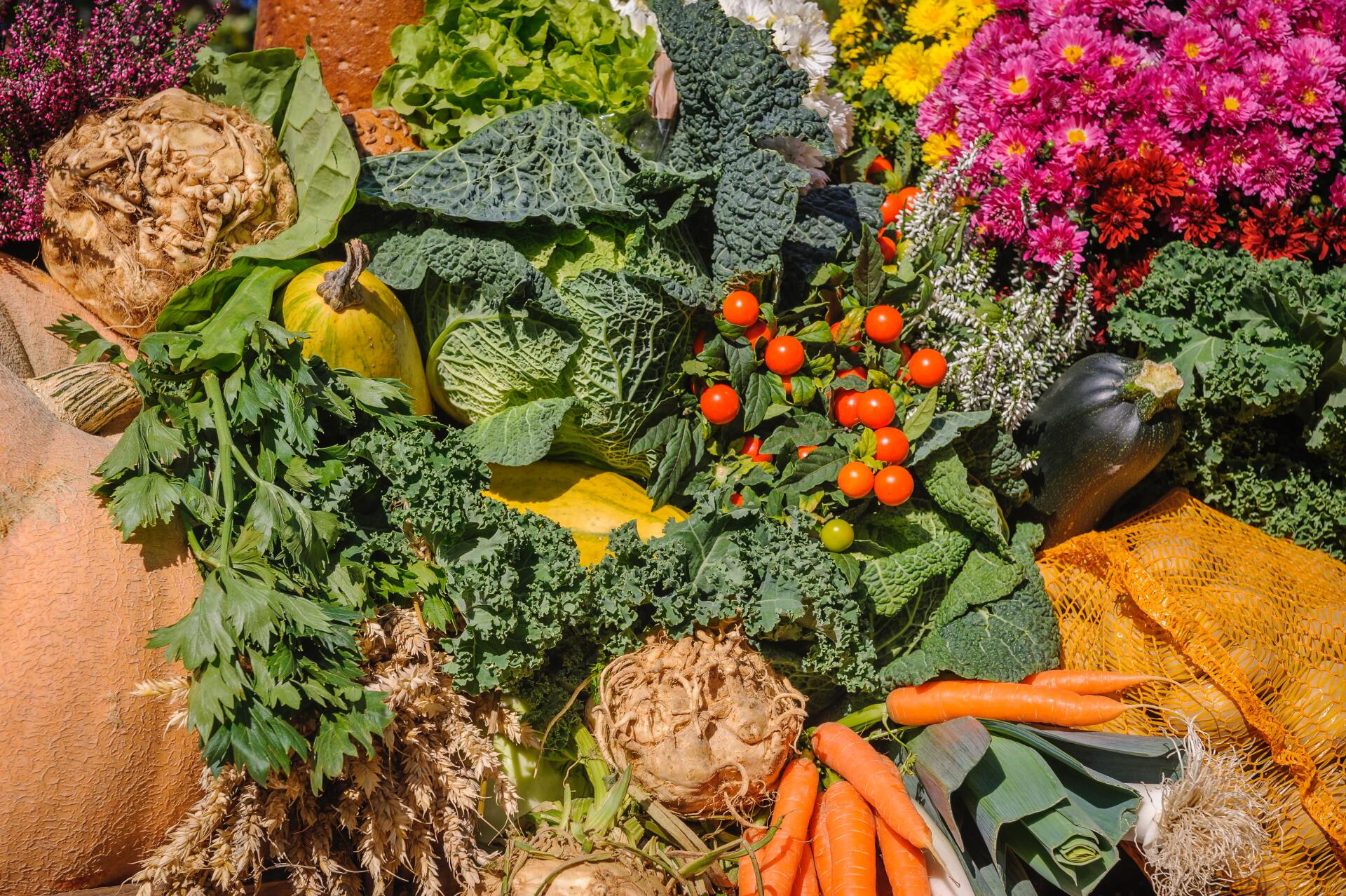 hierbas como antioxidantes hierbas como antioxidantes