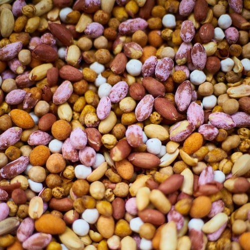 sustitutos de la carne en el mercado global sustitutos de la carne en el mercado global