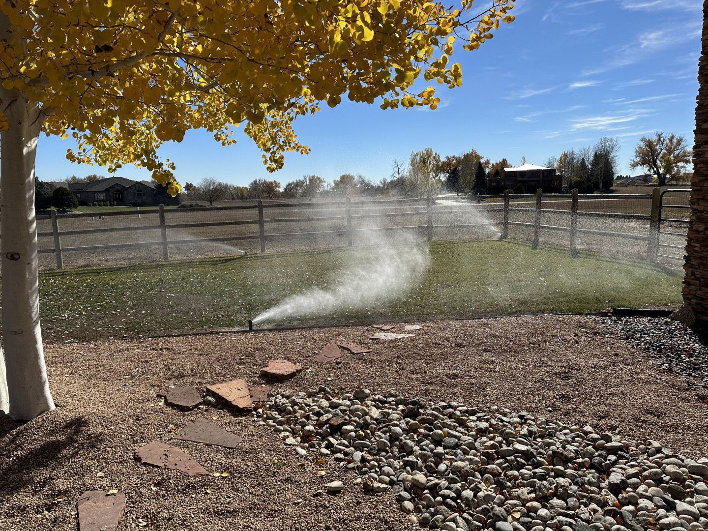 A sprinkler is spraying water on a lush green lawn.