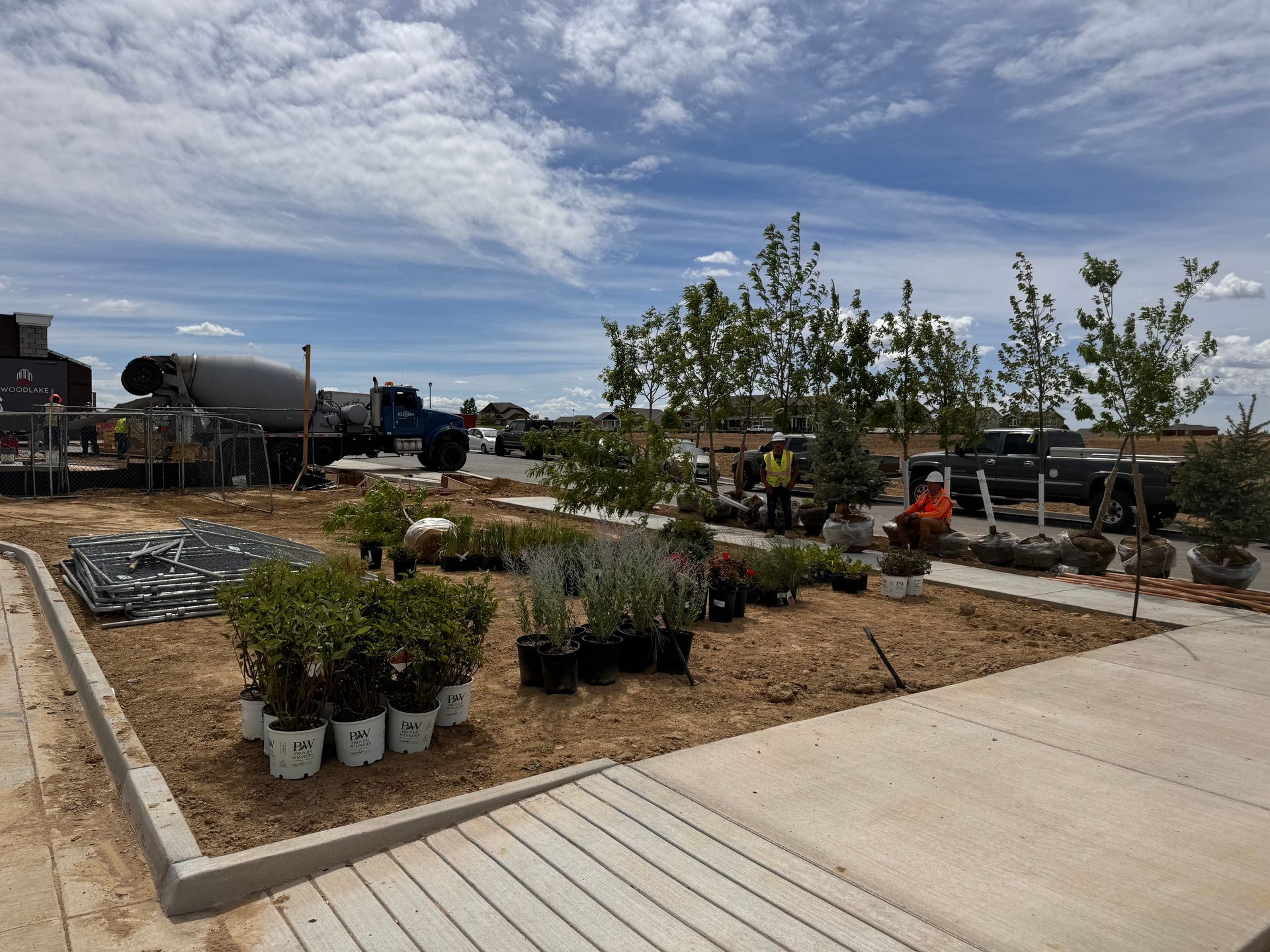 Landscaping project in progress; cement truck, new trees, and plants on a sunny day.