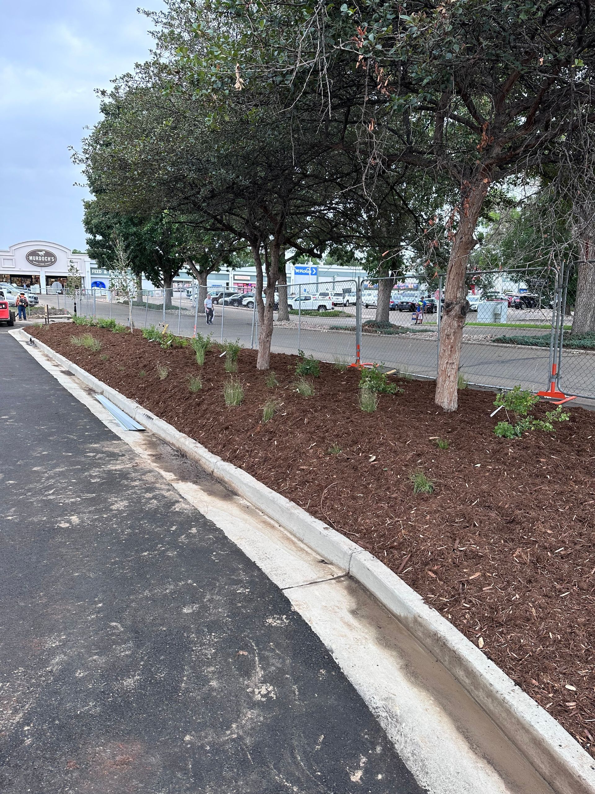 Trees and landscaping border an asphalt area. Mulch and small plants line the curb.