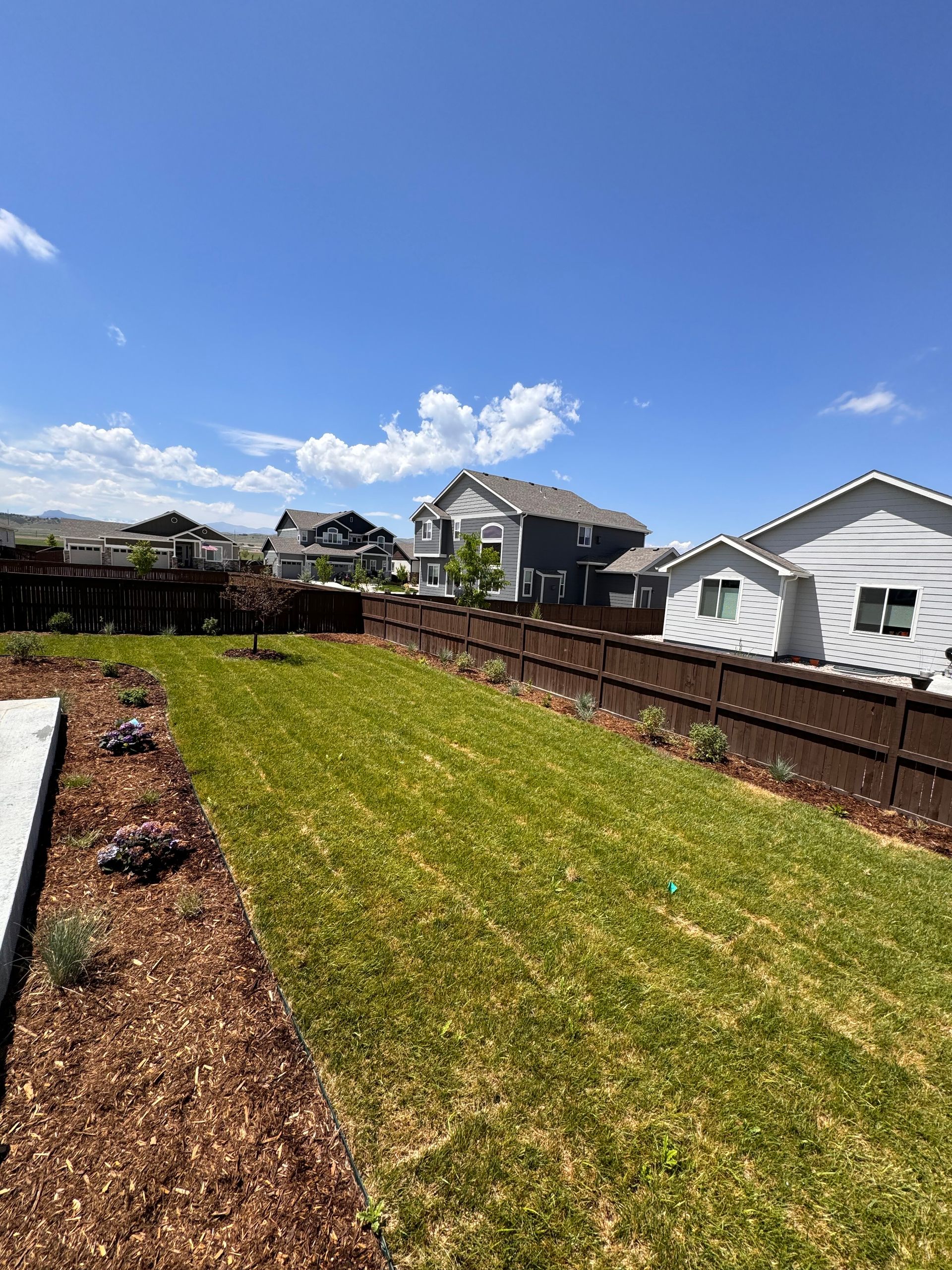 Backyard with green grass, brown fence, wood chips, and houses under a blue sky.
