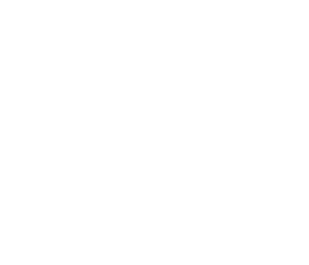 Logo BOZZARELLI COSTRUZIONI