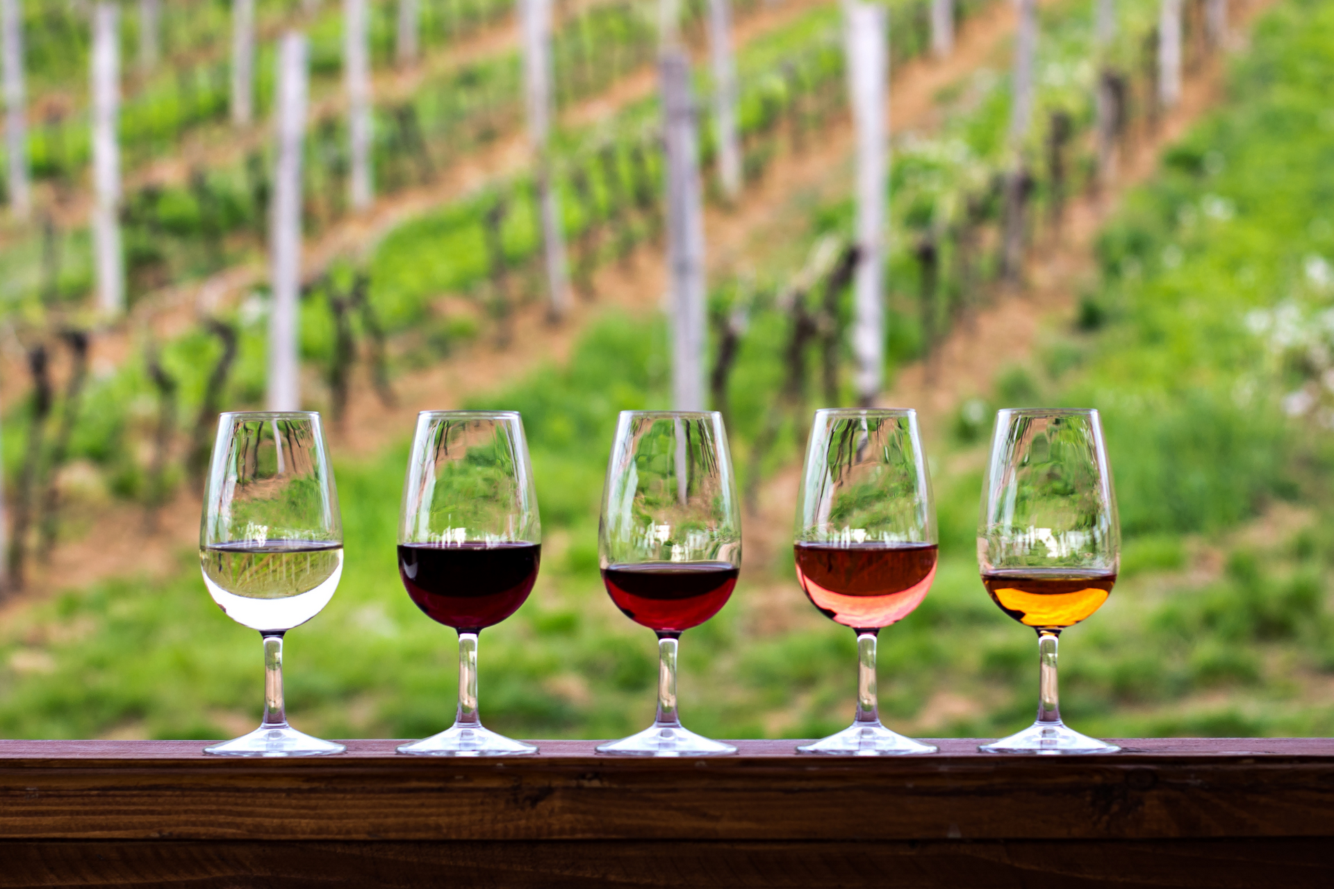 Wine tasting setup with glasses of different wines in vineyard at Nemea