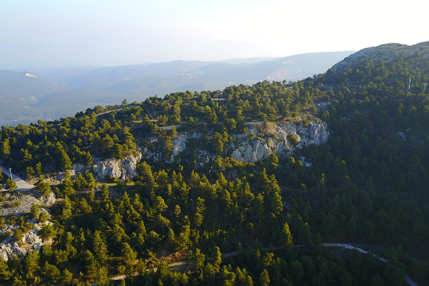 Panoramic view of the forest and the peaks of Parnitha.
