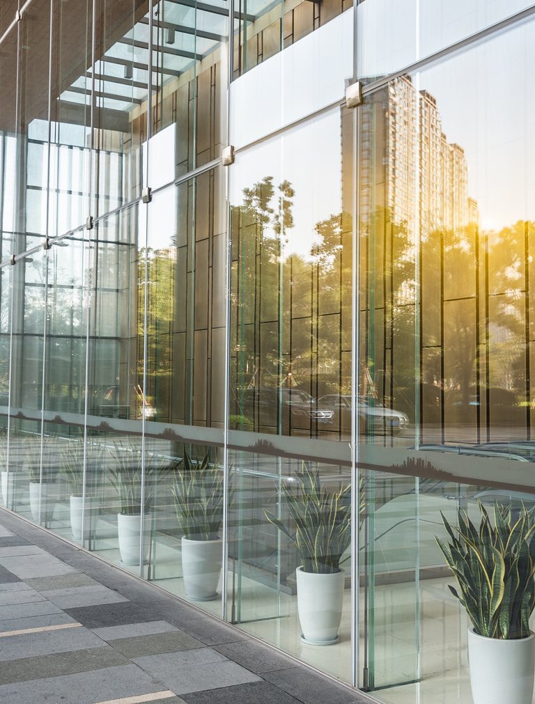 A row of potted snake plants stands in front of a modern glass building reflecting a city landscape at sunset.