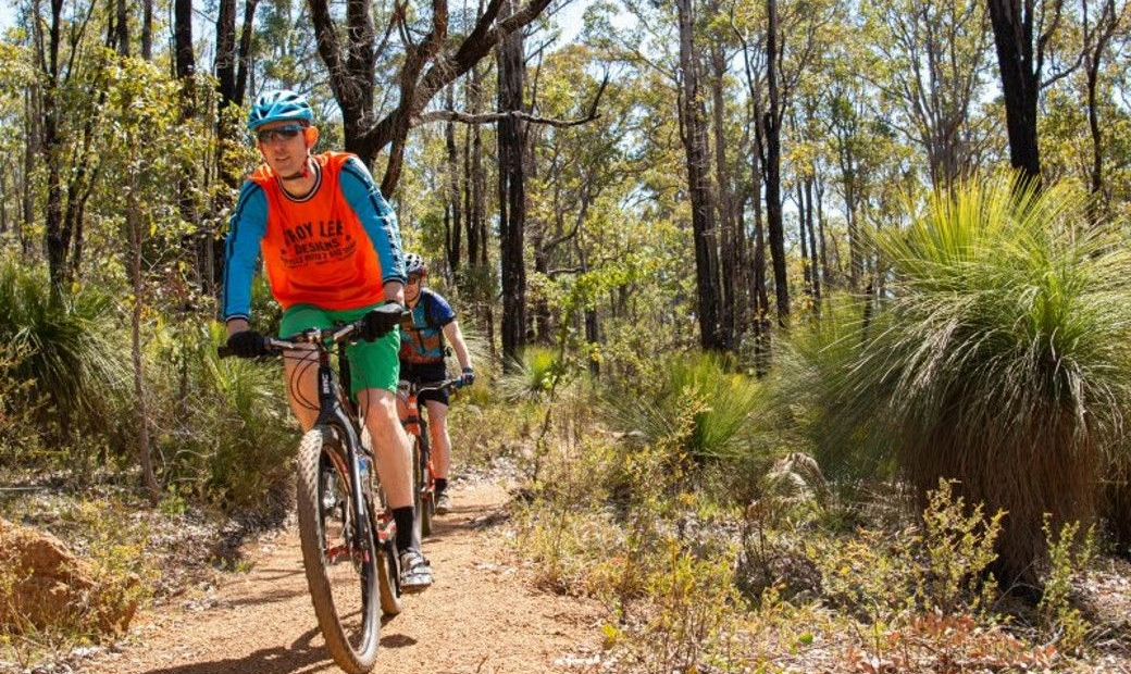 A mountain biker riding through the Arklow Network forest trails in Collie, WA.