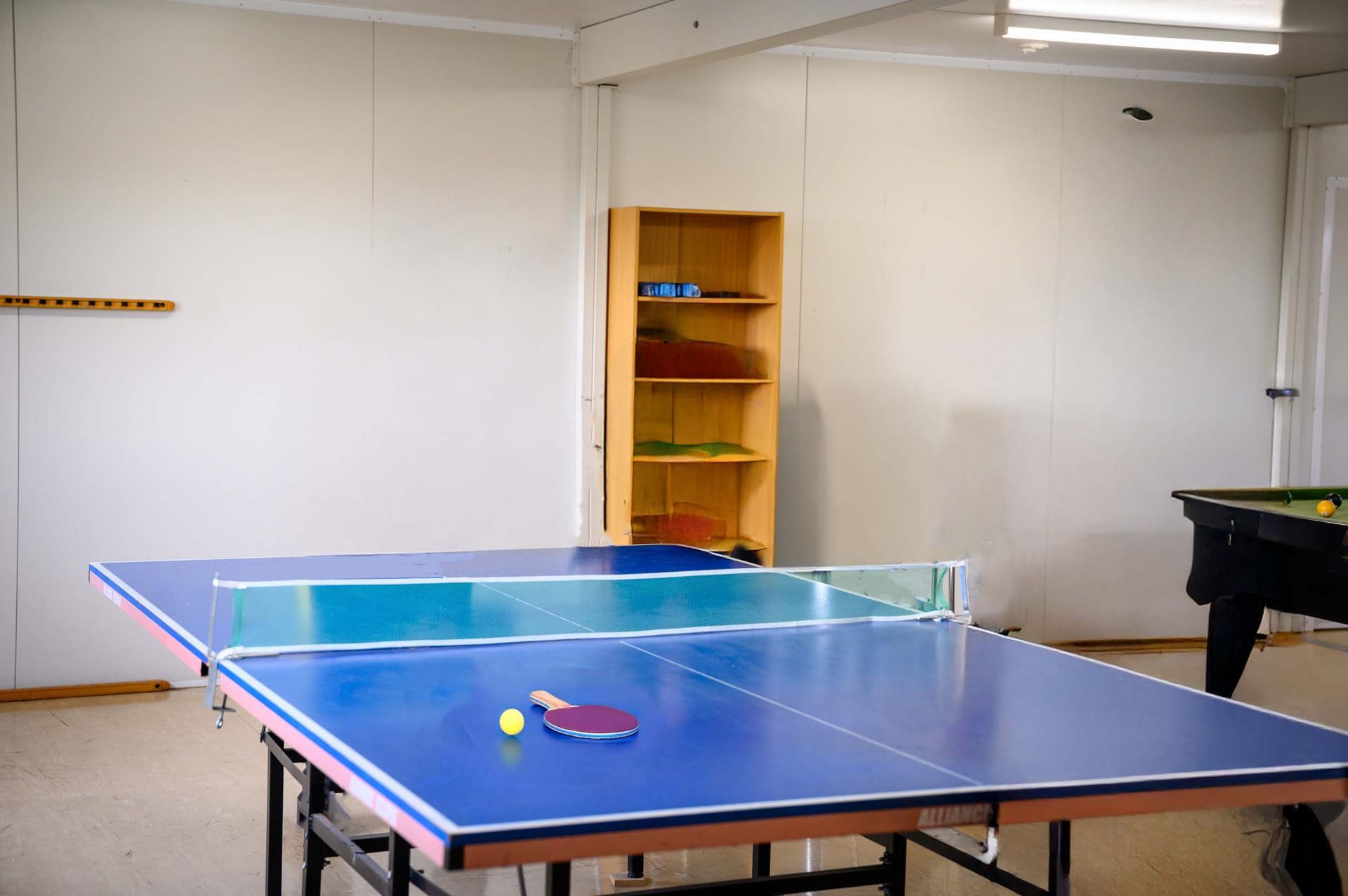 Ping pong table with ball and paddle; room has a shelf of paddles and a pool table.